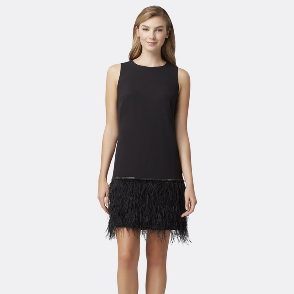 Tahari Ostrich Feather Sleeveless Crepe Dress - New With Tags - Black - Size 4